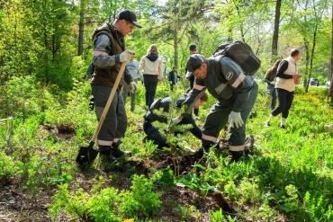 Фото Более 32 тысяч деревьев высадили сотрудники ЮУЖД