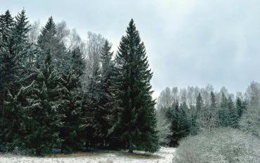 Фото: Правительство Московской области.