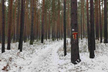 Фото В Челябинской области обустраивают тропу к восточной границе «Таганая»