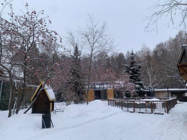 Фото Зимний день в челябинском зоопарке