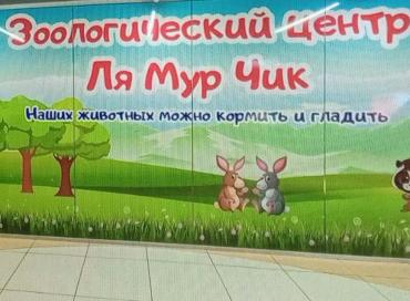 Фото Владелец челябинского «ЛяМурЧика» привлечен к ответственности