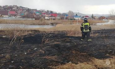 Фото Житель Миасса выжигал медь и устроил ландшафтный пожар
