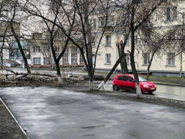 Фото В Челябинске ураганным ветром повалило деревья и дорожные знаки