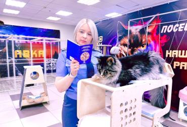 Фото  В Миассе питерский «Мажор» получил предостережение за «Супер-кошек» в «Слоне»