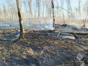 Фото В Увельском районе Челябинской области случился лесной пожар на 2,2 гектара