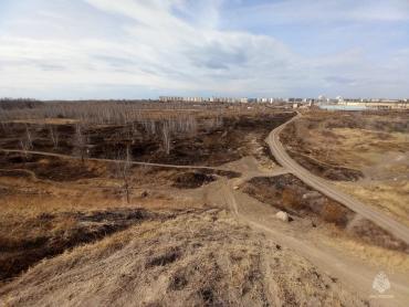 Фото Пытаясь избавиться от насекомых, мужчина устроил крупный пожар