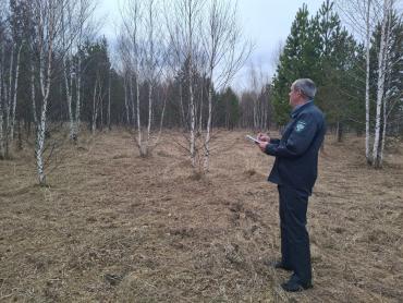 Фото В Челябинской области обнаружены заросшие сельхозземли, ставшие причиной пожара