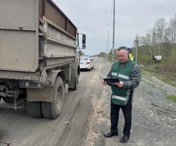 Фото В Челябинской области уничтожат семь с половиной тонн костей без документов