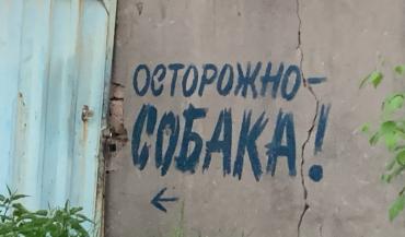 Фото Суд обязал администрацию Челябинска выплатить компенсацию подросткам, пострадавшим от бродячих собак