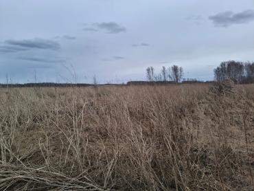 Фото В Кунашакском районе муниципалитет оставил бесхозной собственную землю