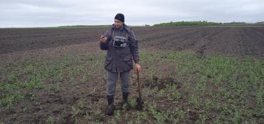 Фото В Челябинской области Россельхознадор ведет мониторинг карантинных фитосанитарных зон по горчаку ползучему