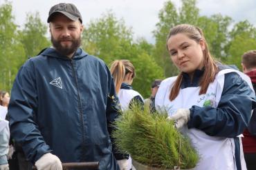 Фото В Челябинской области появится новый сосновый бор 