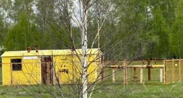 Фото Садоводы подтопленного СНТ «Березка» в Еманжелинском районе не могут добиться осушения территории