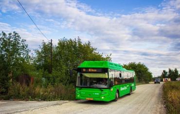 Фото В Челябинске автобусные маршруты и городской транспорт вернулись к штатному расписанию