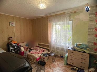 Фото В Челябинской области многодетная мать пыталась нанять незнакомца для убийства дочери-подростка