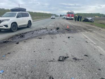 Фото В Сосновском районе водитель легковушки погиб в столкновении с грузовиком