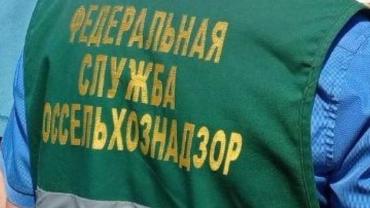 Фото Из Челябинской области в Монголию не пустили партию комбикорма