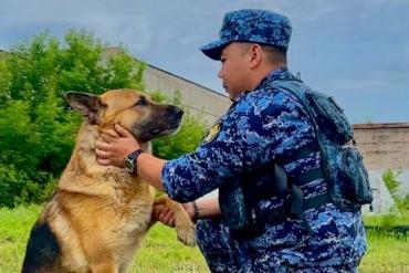Фото В ГУФСИН Челябинской области отметили свой праздник сотрудники, работающие в паре с четвероногими