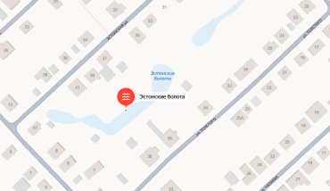 Фото В Челябинске хотят осушить Эстонские болота