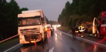 Фото В Саткинском районе при столкновении с грузовиком погиб водитель легковушки