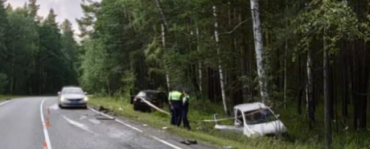 Фото На трассе в Чебаркульском районе погибла женщина