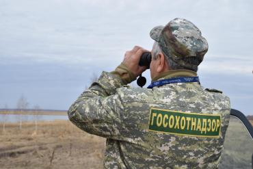 Фото Браконьеры Челябинской области возместили государству миллионы рублей ущерба