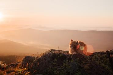 Фото Рыжая легенда Таганая. Памяти Василия Курумовича