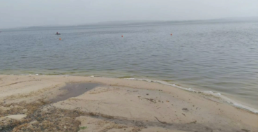 Фото Шершни заливают сточные воды (ВИДЕО)