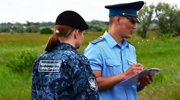 Фото Суд обязал челябинца убрать строительные объекты с лесного участка в Красноармейском районе