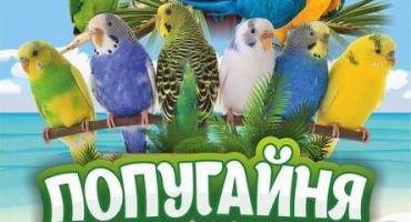 Фото «Котодеревня» и «Попугайня» в Челябинской области теперь работают с лицензией