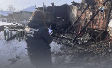 Фото Троичанин получил срок за попытку сжечь заживо экс-возлюбленную с детьми и мамой
