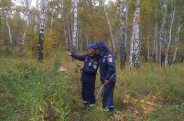Фото Спасатели вывели заблудившегося грибника из леса под Миассом