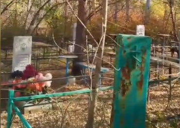 Фото Власти Южноуральска бросили кладбище с захоронениями ветеранов Великой Отечественной войны