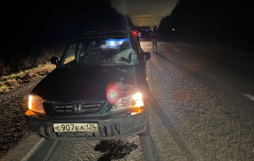 Фото В Сосновском районе под колёсами авто погиб пешеход