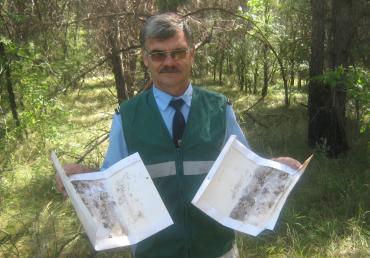 Фото В Челябинской области выросло число карантинных фитосанитарных зон