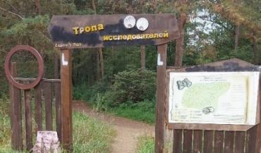 Фото Никто не захотел подарить вторую жизнь сказочным обитателям Челябинского городского бора