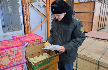Фото На Урал завезли личи и маракуйю