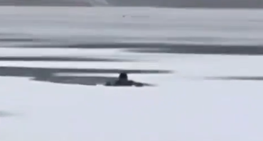 Фото На озере Смолино из ледяной воды вытащили мужчину