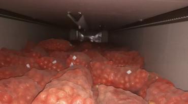 Фото В Челябинской области остановили лук из Казахстана