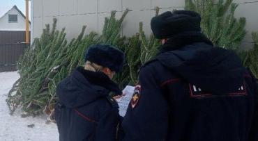 Фото В Троицке и Снежинске ловили продавцов ёлок, нарушивших закон