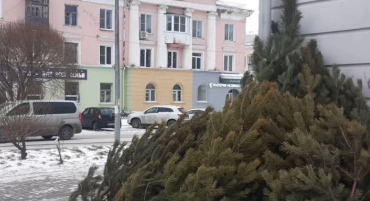 Фото В Челябинске будут контролировать работу ёлочных базаров