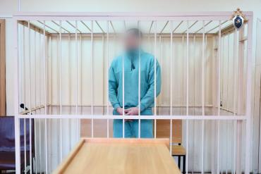 Фото Топ-менеджер челябинского «Арианта» отправлен в СИЗО