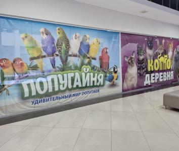 Фото Владелец «Котодеревни» и «Попугайни» остался без лицензии