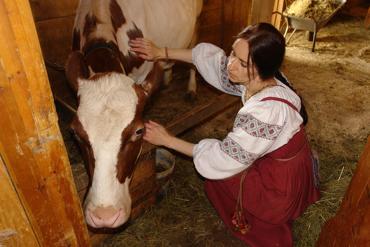 Фото Нинин день - 27 января: Традиции, приметы и запреты