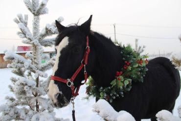 Фото Девятое января - Степанов день: традиции, приметы и смысл праздника