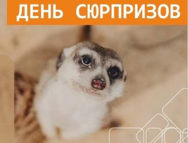 Фото Профессиональные праздники января: когда и кого поздравлять