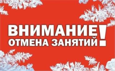 Фото Города и районы Южного Урала продолжают сообщать об отмене занятий в школах