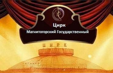 Фото Россельхознадзор провёл проверку в государственном цирке Магнитогорска