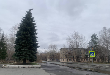 Фото Народный фронт собирает факты буллинга в школах Южного Урала