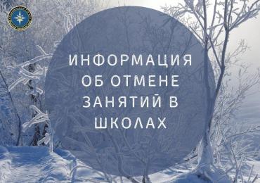 Фото Учащиеся 1-9 классов школ Миасса 22 января в школу не пойдут